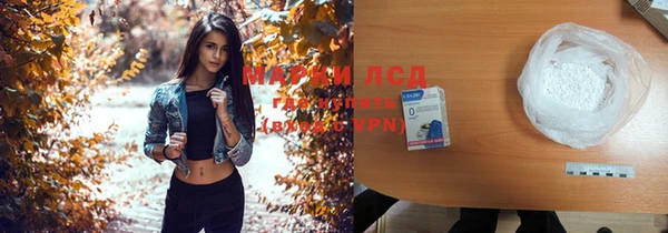 спиды Болотное