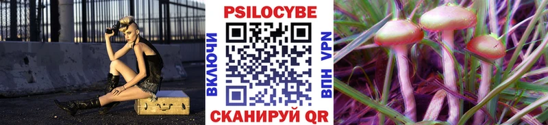 Галлюциногенные грибы Psilocybe Инза
